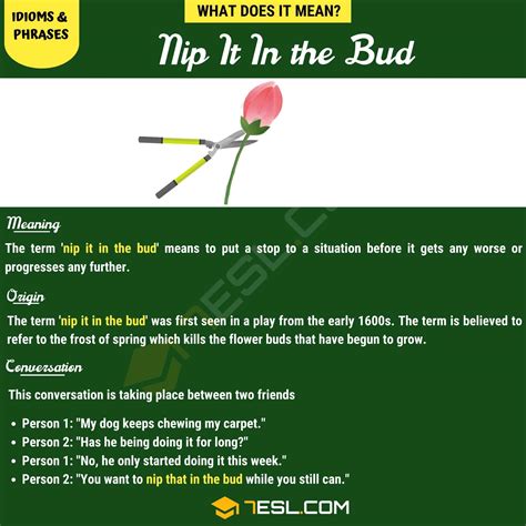 nipit meaning|Nip in the Bud .